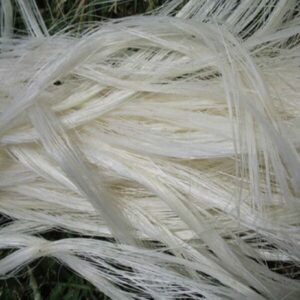 Sisal Fiber Ug Grade