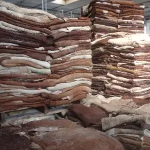 Cow Hides/Skins
